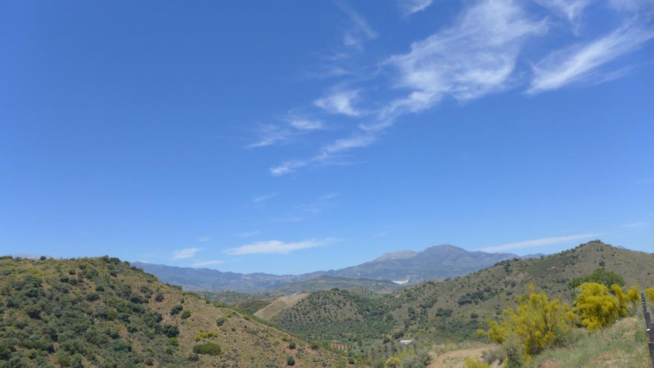 Corazon Andaluz Guesthouse Coin Bagian luar foto